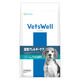 ベッツウェル 犬用食事療法食 食物アレルギーケア フィッシュ＆ポテト 1kg 1袋 マルカン ドッグフード