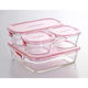 耐熱ガラス 保存容器 ピンク システムセット 4点 ミニ パック&レンジ PSC-PRN4P2 iwaki（イワキ）