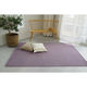 スミノエ コンシェルジュ WOOL REX 防炎 ラグ ウールレックス WR28 1400×2000mm パープル 1枚（直送品）