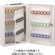 アイテック 光 キーボックス ホルダ数60個 KBP-60 1個 112-1707（直送品）