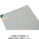 光 エンビ板 緑 1×910×600mm EB961-4 1枚 820-0899（直送品）