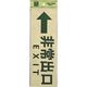 光 サインプレート ←非常出口 PK310-27 1セット(5枚) 225-7008（直送品）