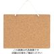 光 KBボードひも付き(コルク・シナ合板) KB169 1個 224-7587（直送品）
