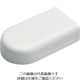 マサル工業 マサル メタルエフモール付属品 エンド B型 ホワイト MFME22 1個 120-9812（直送品）