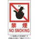 光 禁煙 NO SMOKING HI960-13 1枚 224-7612（直送品）
