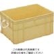 岐阜プラスチック工業 RISU ボックス型コンテナ 132884 B型プラテナーBー75 アイボリー B-75 I 1個 868-6831（直送品）