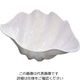 江部松商事 シャコ貝 ホワイト M プラスチック 61-6814-07 1個（直送品）