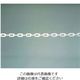 遠藤商事 樹脂チェーン ホワイト 62-6313-49 1個（直送品）
