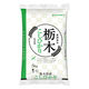 栃木県産コシヒカリ 5kg 1袋 精白米 令和7年産 お米 ヤマイチライス