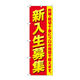 P・O・Pプロダクツ のぼり旗　新入生募集　プロの指導　Ｎｏ．ＧＮＢ―４２８５　Ｗ６００×Ｈ１８００097295 1枚（直送品）