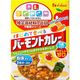 ハウス食品 ハウス 特定原材料7品目不使用バーモント 60g x6 2551599 1セット(6個)（直送品）
