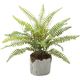人工観葉植物　シダポット　4コ入り　42cm　GLA-1469　横浜ディスプレイミュージアム（直送品）
