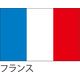 服部 応援・装飾用旗 フランス 135×90cm ポンジ flag0146 1枚