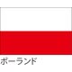 【世界の国旗】服部 応援・装飾用旗 ポーランド 135×90cm ポンジ 1枚（直送品）