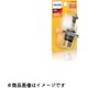 PHILIPS ハロゲンバルブ H11 12V 55W ブリスターパック 12362LLB1（直送品）