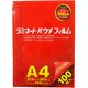 稲進 ラミパック100μ A4サイズ用 100枚入 SP100216303 1箱(100枚入)
