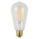LED電球 E26 スワン電器 LED SWAN BULB 2200 EDISON SWB-LDF4L-ST64-22B 1個