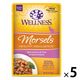 ウェルネス ヘルシーインダルジェンス 香るとろみスープ仕立て サーモン＆ツナ 85g 5袋 キャットフード 猫 ウェット パウチ