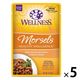 ウェルネス ヘルシーインダルジェンス 香るとろみスープ仕立て チキン＆サーモン 85g 5袋 キャットフード 猫 ウェット パウチ