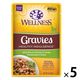 ウェルネス ヘルシーインダルジェンス 柔らか味わいグレービー仕立て チキン＆ターキー 85g 5袋 キャットフード 猫 ウェット パウチ