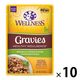 ウェルネス ヘルシーインダルジェンス 柔らか味わいグレービー仕立て チキン＆ターキー 85g 10袋 キャットフード 猫 ウェット パウチ