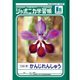 ショウワノート ジャポニカ学習帳 かんじれんしゅう 100字 JLー50 1冊