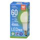 オーム電機 LED電球 E26 60形相当 昼白色 06-5515 1個