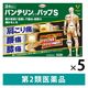 バンテリンコーワパップS 24枚 5箱セット 興和　貼り薬 インドメタシン パップ剤 肩・腰・膝の痛み【第2類医薬品】