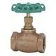 東洋バルヴ 150E BGーN 青銅グローブ弁 8A 150EBG-N-8A 1台（直送品）