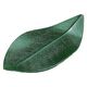 変形皿 （大）新この葉皿　グリーン [2個入] wis-1-654-8　若泉漆器（直送品）