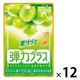 果汁グミ弾力プラスマスカット 12袋 明治 グミ