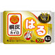 小林製薬株式会社 桐灰はるミニ10P 4901548603745 10個入×48点セット（直送品）