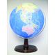 昭和カートン シンプル地球儀 行政 32-GAJM-A 1台（直送品）