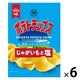ポテトチップス じゃがいもと塩 6袋 湖池屋 スナック菓子 おつまみ