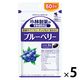 小林製薬の栄養補助食品 ブルーベリー約60日分(60粒入り) サプリメント 1セット（5個）