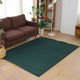 スミノエ コンシェルジュ オーダーラグ バンジュール 3450×2450mm グリーン AS-BJ111-GN345245 1枚（直送品）