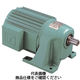 椿本チエイン ギヤモートル TAシリーズ(三相200V) GMTA010ー18L30B 1個（直送品）