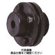 椿本チエイン エクトフレックスカップリング NEFシリーズ(シングルタイプ) NEF340SーNRーNR 1個（直送品）