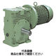 椿本チエイン ウォームパワードライブ EWMシリーズ(モータ付) EWM125V3000RーLU020SB 1個（直送品）