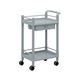 アズワン モバイルストレージカート 2段 598×370×870mm(引出し・ガード枠・ハンドル付) MSO11K 1個 3-6497-08（直送品）