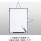 デビカ ホワイトボード NP(M) 6-5648-23 1枚（直送品）