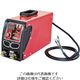 日動工業 日動 デジタルインバーター直流溶接機 BMウェルダー1020 単相100/200V兼用 BM12-1020DA 1台（直送品）