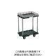 TRUSCO 樹脂製台車 ルートバン 2段式 柵1段付 370X500 4輪自在ストッパー付 緑 MPB-502JSK-GN 1台（直送品）