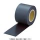 トラスコ中山 マグネットロール 糊なし t0.6mmX巾25mmX20m TMG06-25-20 1巻 798-5207