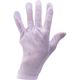 トラスコ中山 TRUSCO ポリエステルスムス手袋 マチなし L 左手用 10枚入 PSMSL-L10 1組(10枚) 369-1138（直送品）