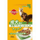 マースジャパン ペディグリー　成犬用元気な毎日サポート　旨みビーフ＆緑黄色野菜＆魚入り２．２ｋｇ 4902397808060（直送品）