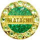 HATACHI(ハタチ) グランドゴルフ 男女兼用 クリスタルマーカー グリーン BH6035 10個（直送品）