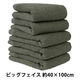 ヒオリエ 日本製 ビッグフェイスタオル ホテルスタイルタオル モス 約40×100cm タオル 厚手 吸水 セット 無地 1セット(5枚)