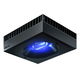Red Sea レッドシー REEF LED 160 サンゴ 257769 1個（直送品）