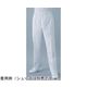 東洋リントフリー ESD対策クリーンパンツ 白 3L FS312A-01 1本 65-1696-46（直送品）